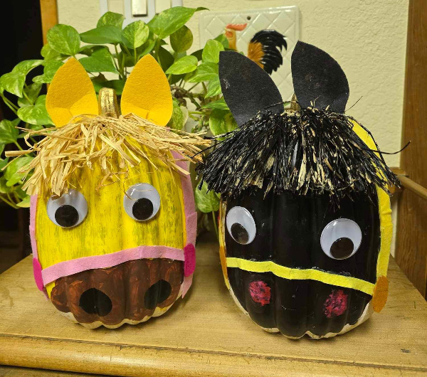 2 pumpkins decorated with Itty & Bitty's heads