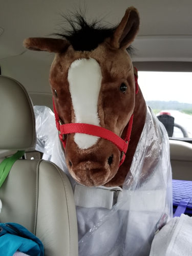 Micro -- a backseat driver