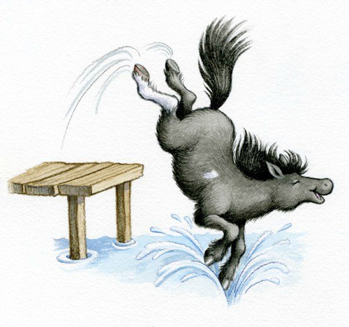 Bitty jumping into the pond