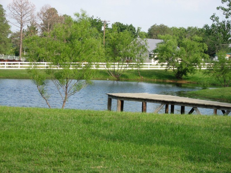 The pond in front of Itty and Bitty's barn