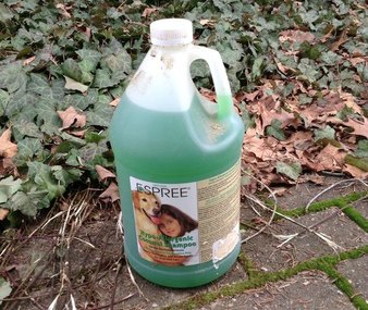 Itty's favorite shampoo - Espree Itty's favorite shampoo - Espree