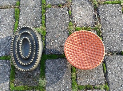 Round and oval curry combs Round and oval curry combs