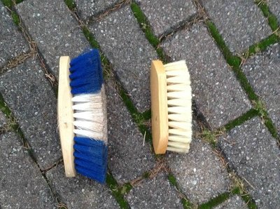 Brushes Brushes