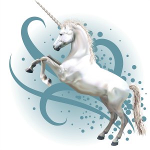 Unicorn Unicorn