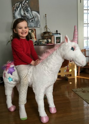 Annika & her big unicorn Tweeds Annika & her big unicorn Tweeds