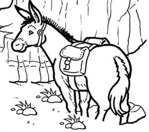 mule