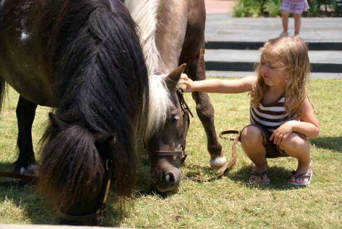 A child petting Itty during a Barnes & Noble visit