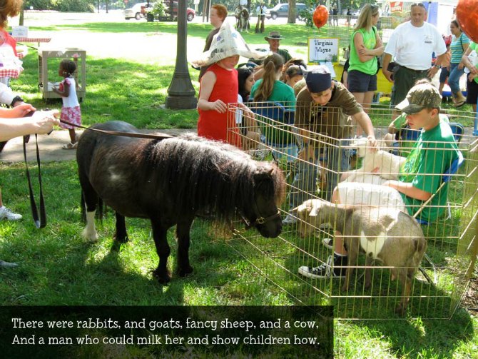 Bitty looks at the sheep