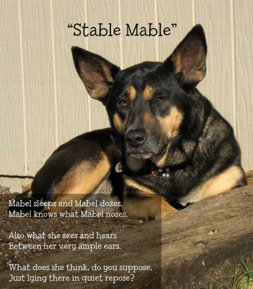 Stable Mable