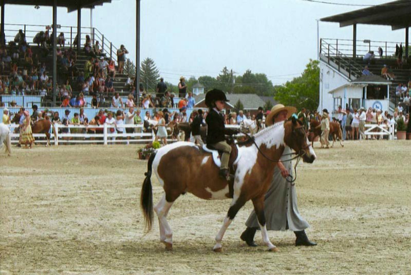 Devon Young Rider