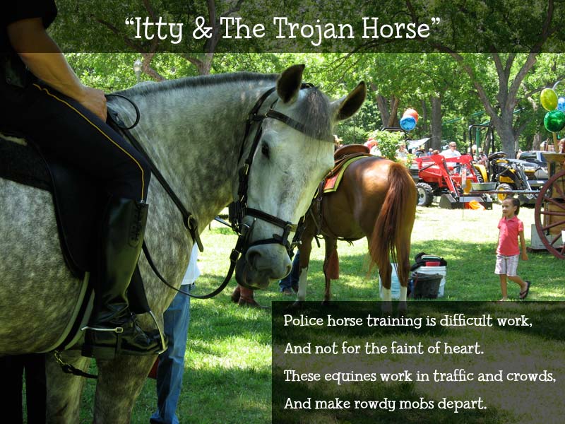 Itty and Trojan
