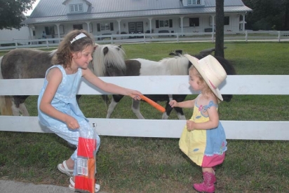 North Carolina Fan Club - Feeding the minis