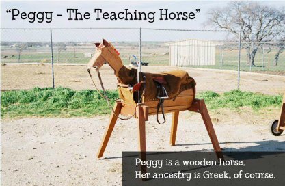 Peggy the Teaching Horse