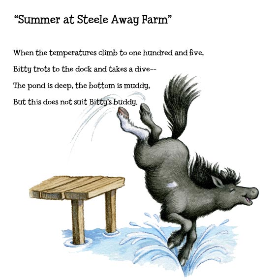 Summer at Steele Away Farm