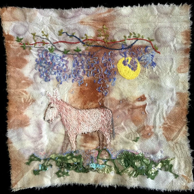 Mini donkey Mini donkey